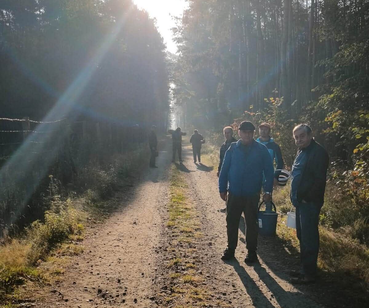 Uczestnicy z wiadrami na leśnej drodze w słońcu podczas grzybobrania.