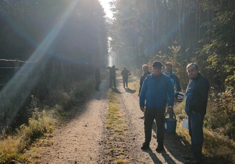 Uczestnicy z wiadrami na leśnej drodze w słońcu podczas grzybobrania.
