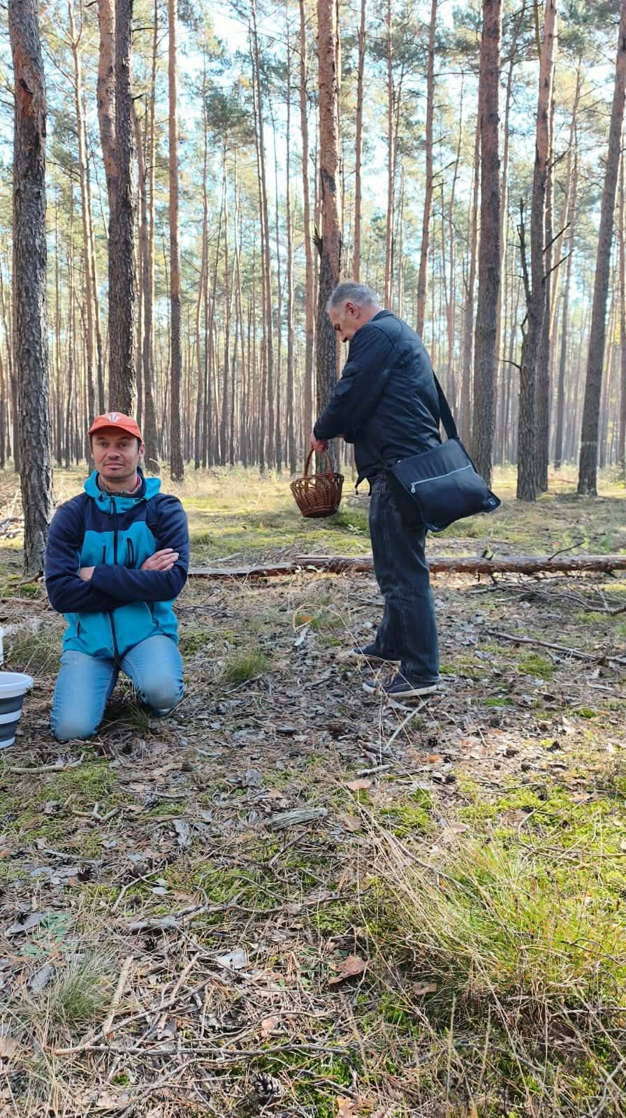 Dwóch grzybiarzy z koszykiem i wiaderkiem wśród sosen.